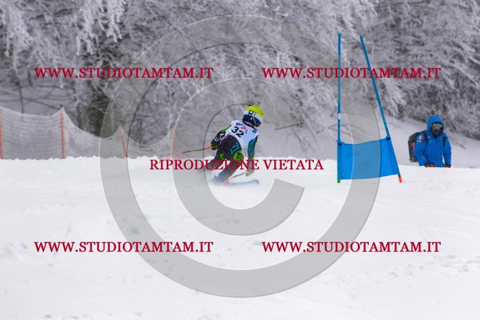 MAT_0438.jpg