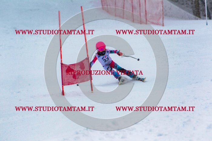 MAT_0442.jpg