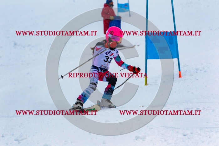 MAT_0445.jpg