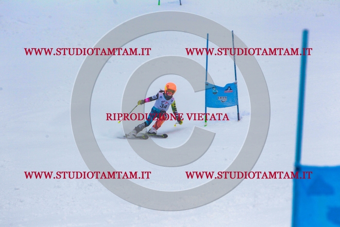 MAT_0453.jpg