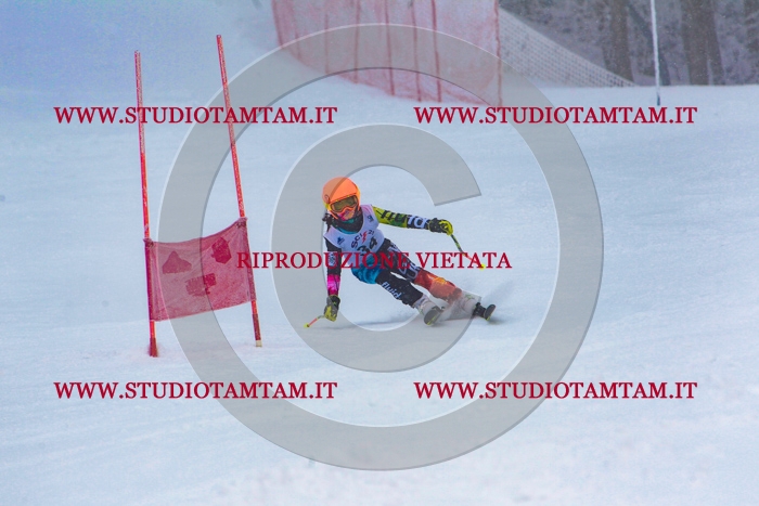 MAT_0455.jpg
