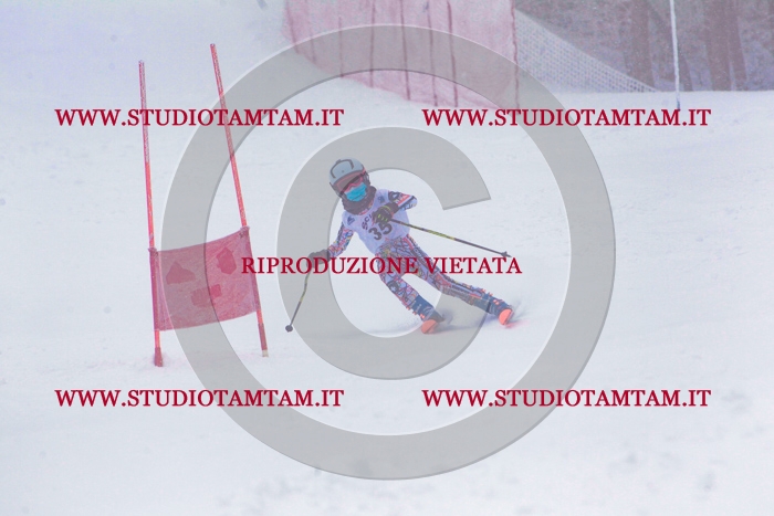 MAT_0466.jpg