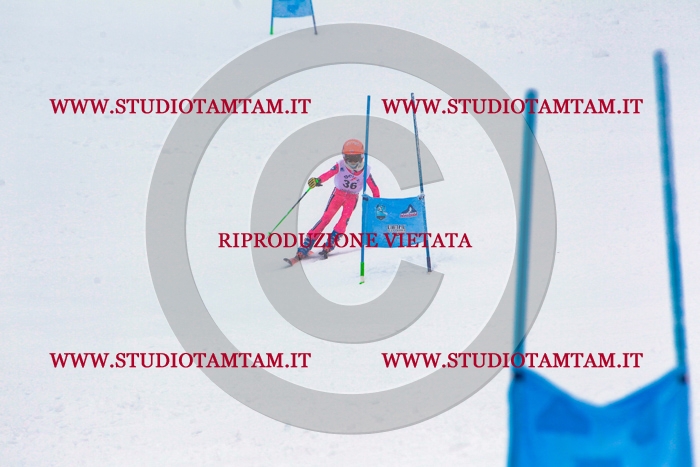 MAT_0476.jpg