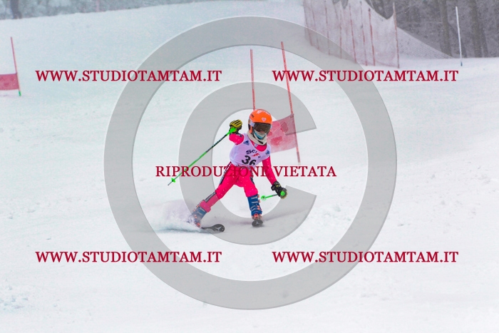 MAT_0480.jpg