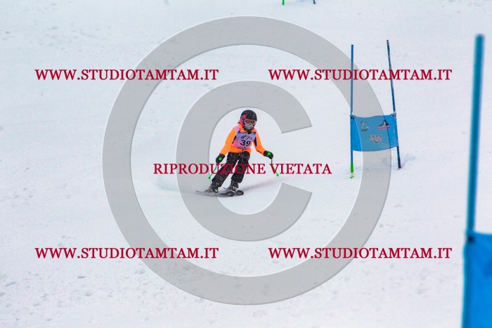 MAT_0509.jpg