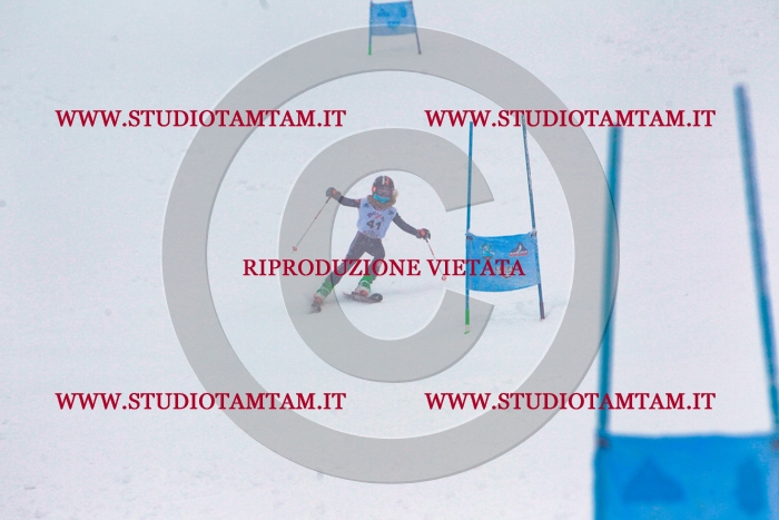 MAT_0531.jpg