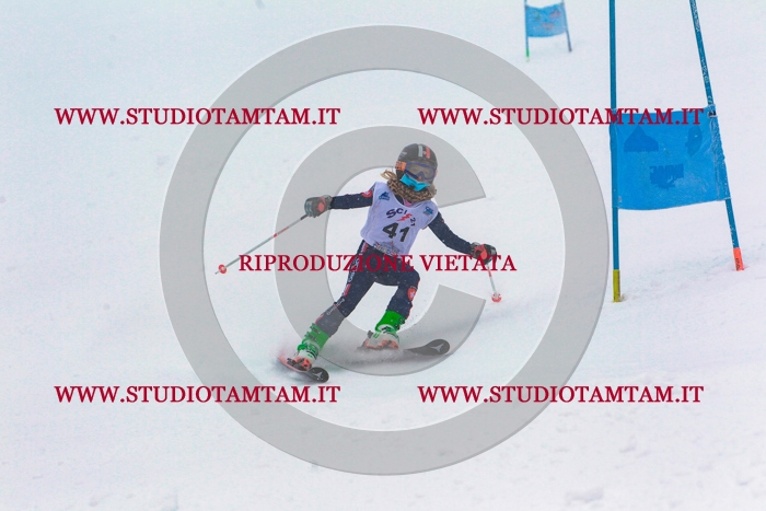 MAT_0537.jpg