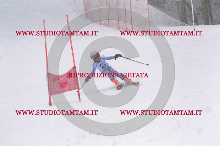 MAT_0593.jpg