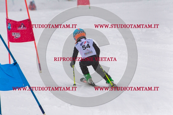 MAT_0687.jpg
