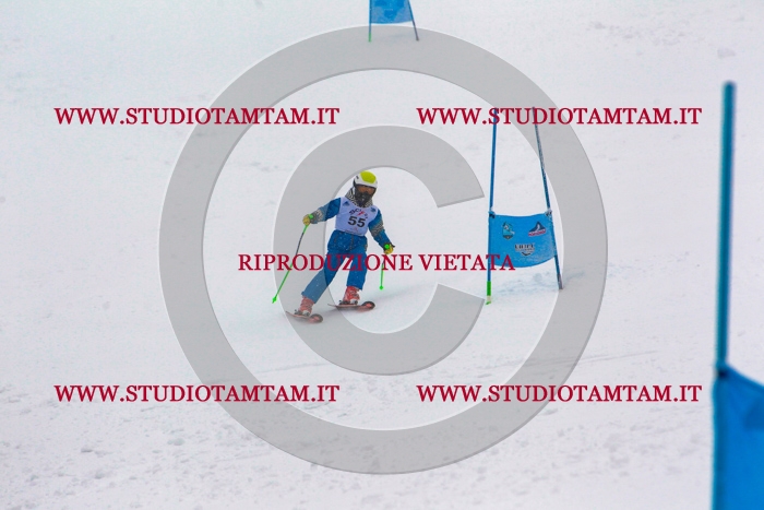 MAT_0690.jpg