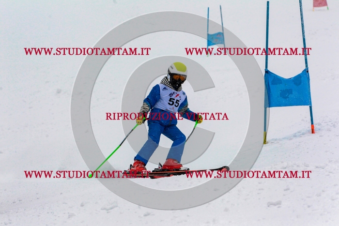 MAT_0696.jpg
