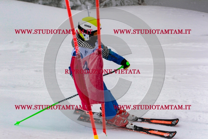MAT_0698.jpg