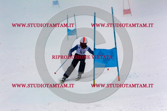 MAT_0719.jpg