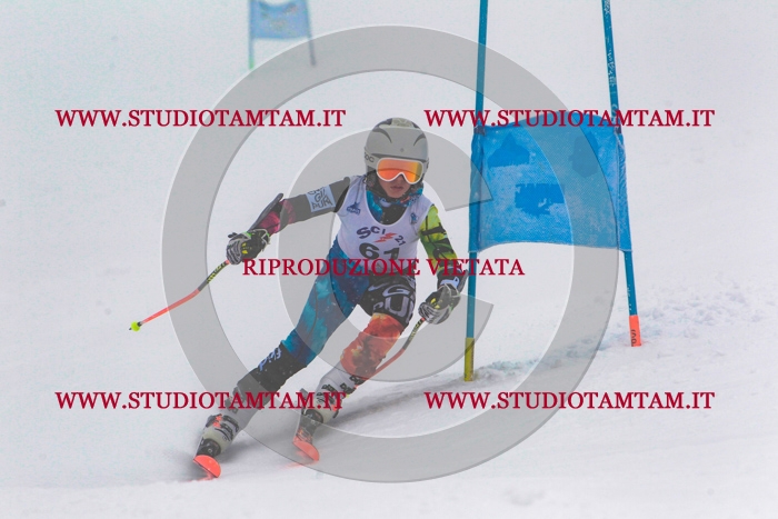 MAT_0769.jpg