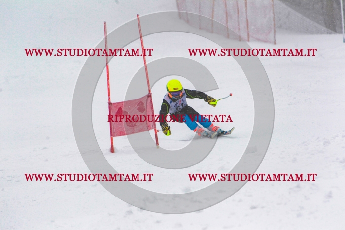 MAT_0776.jpg