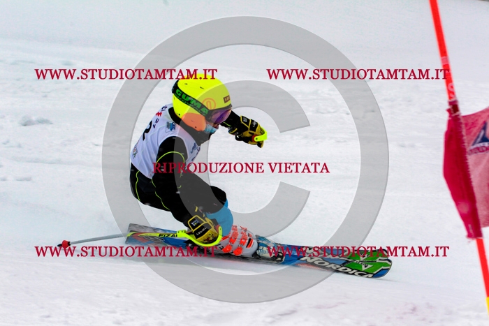MAT_0782.jpg