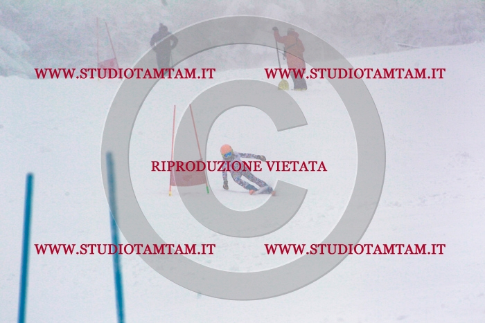 MAT_0784.jpg