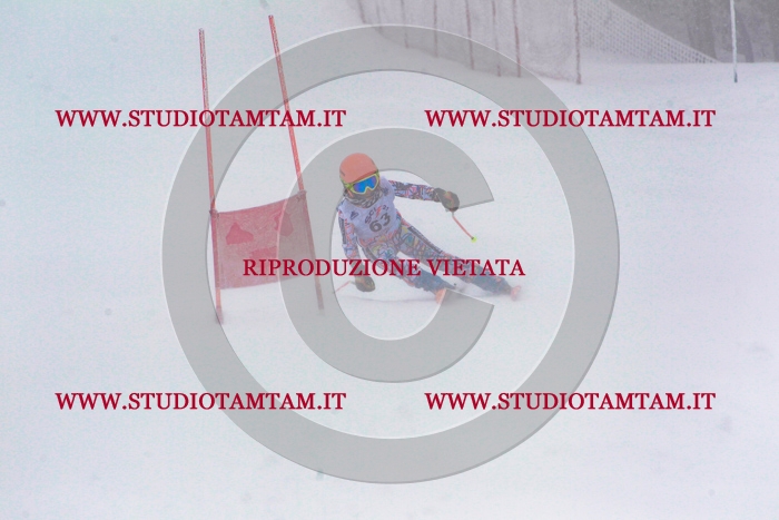 MAT_0787.jpg