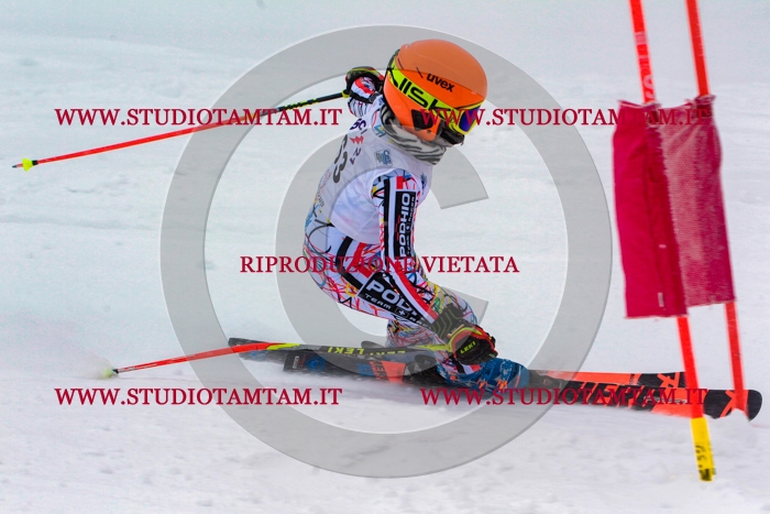 MAT_0791.jpg