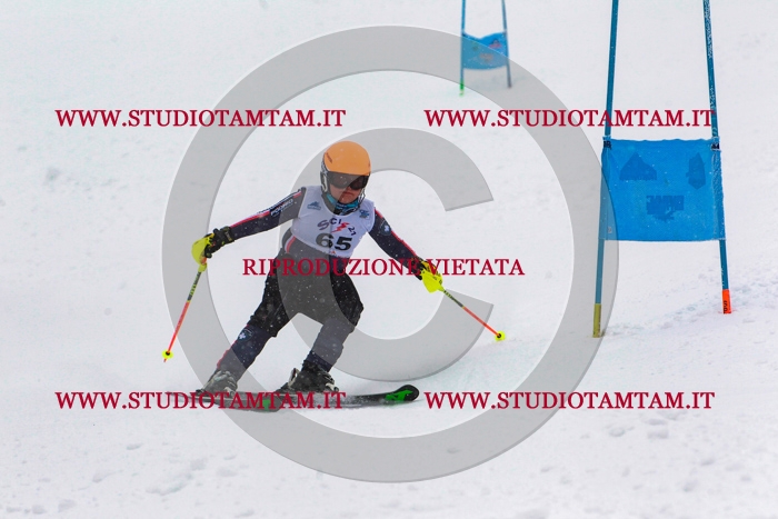 MAT_0812.jpg
