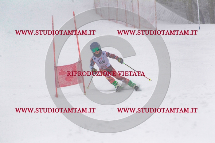 MAT_0819.jpg