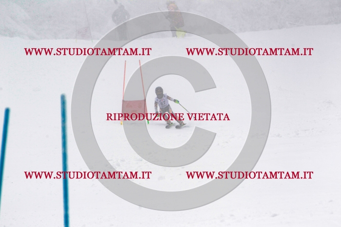 MAT_0827.jpg