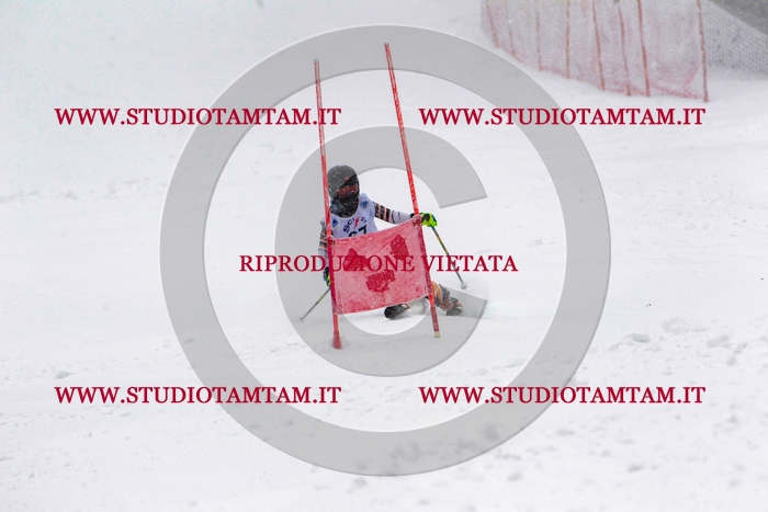 MAT_0830.jpg