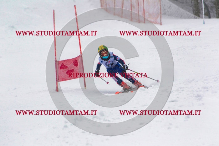 MAT_0897.jpg