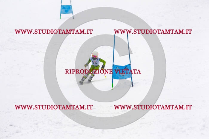 MAT_0959.jpg