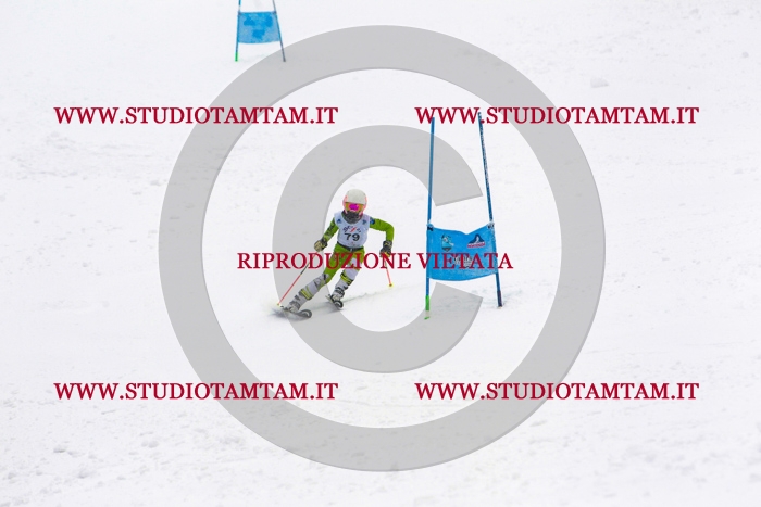 MAT_0960.jpg