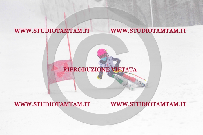 MAT_0985.jpg