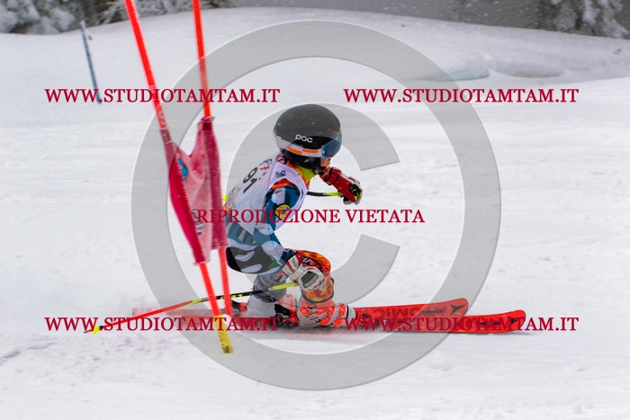 MAT_1107.jpg