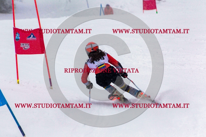 MAT_1289.jpg