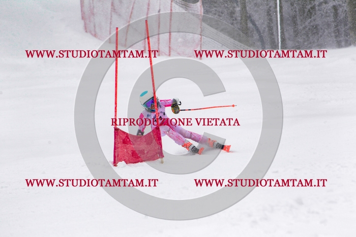 MAT_1302.jpg