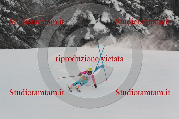 MAT_1570.jpg