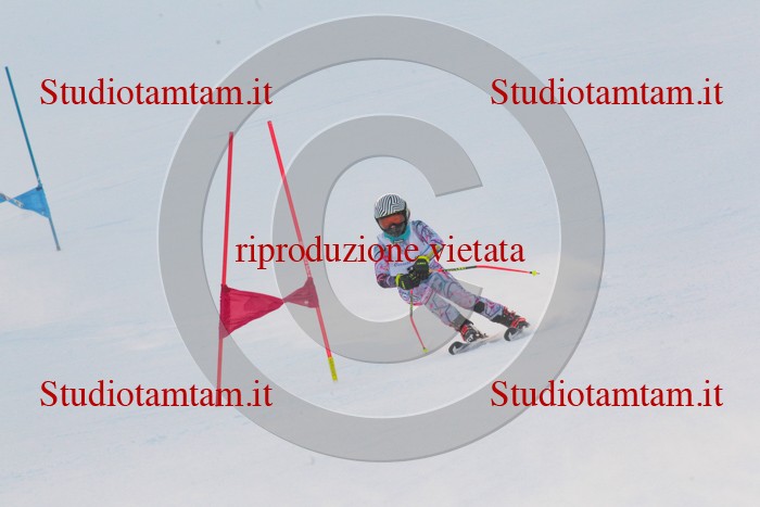 MAT_1595.jpg