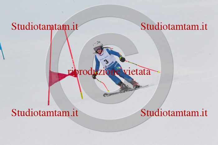 MAT_1605.jpg