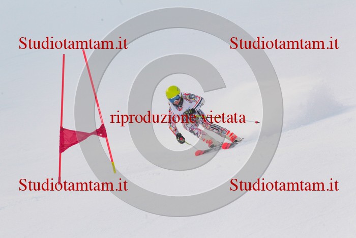 MAT_1656.jpg