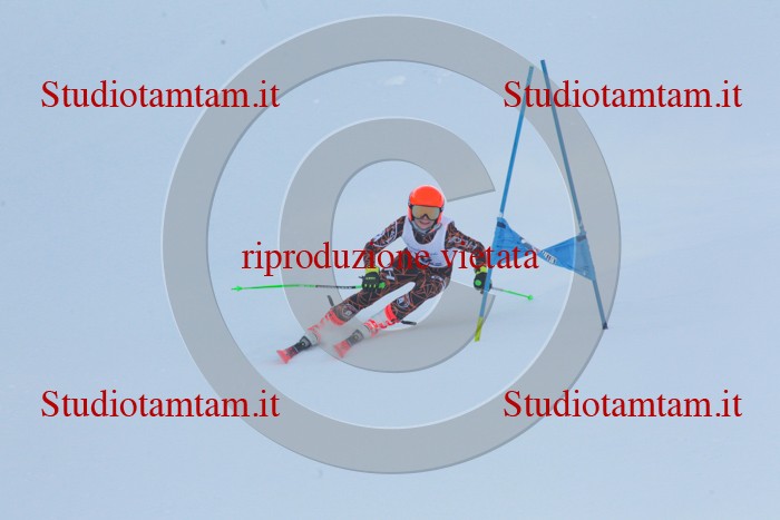 MAT_1718.jpg