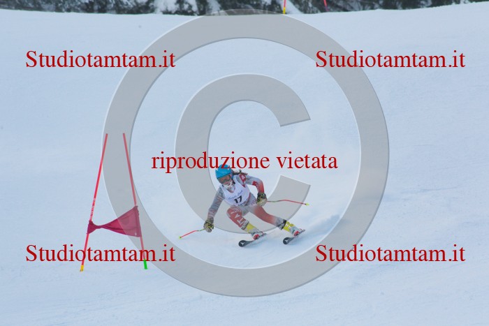 MAT_1725.jpg