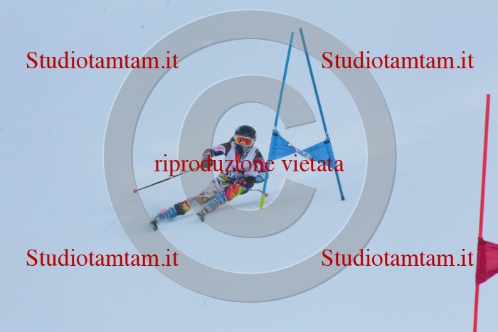 MAT_1743.jpg