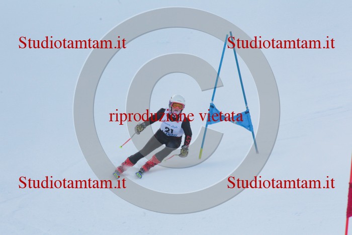 MAT_1764.jpg