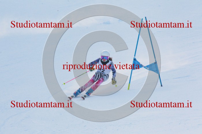 MAT_1776.jpg