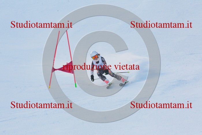 MAT_1783.jpg