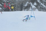 MAT_2065