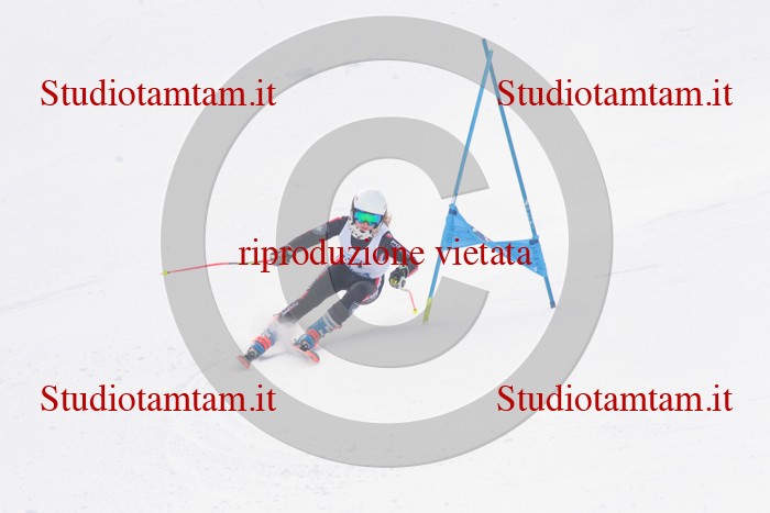 MAT_2368.jpg