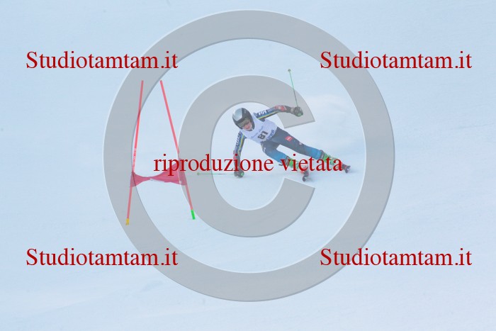MAT_2446.jpg