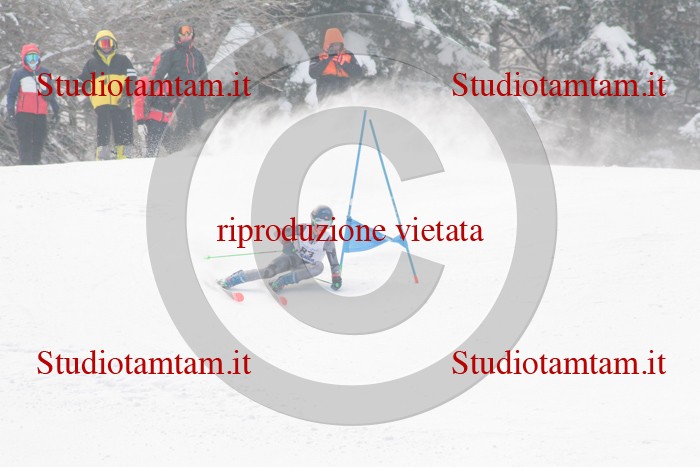 MAT_2469.jpg