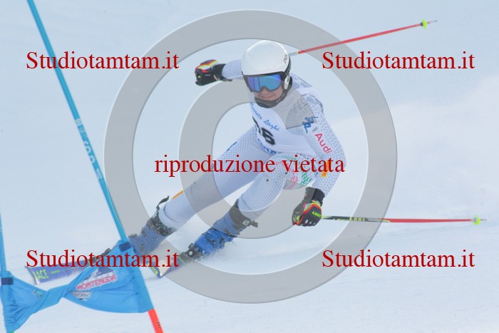 MAT_2520.jpg