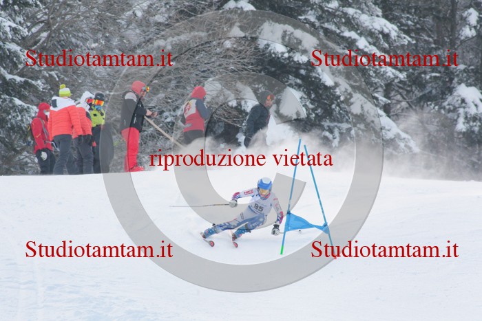 MAT_2623.jpg